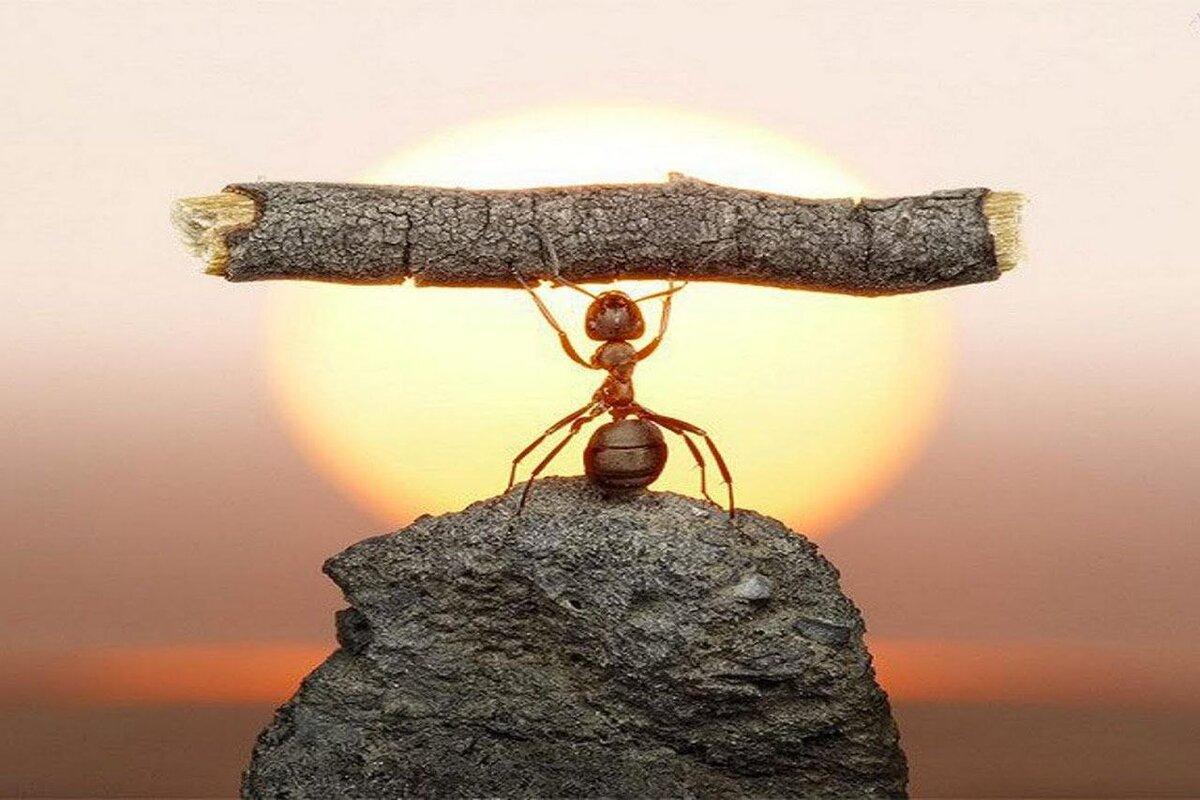 Правильный Фэн Шуй