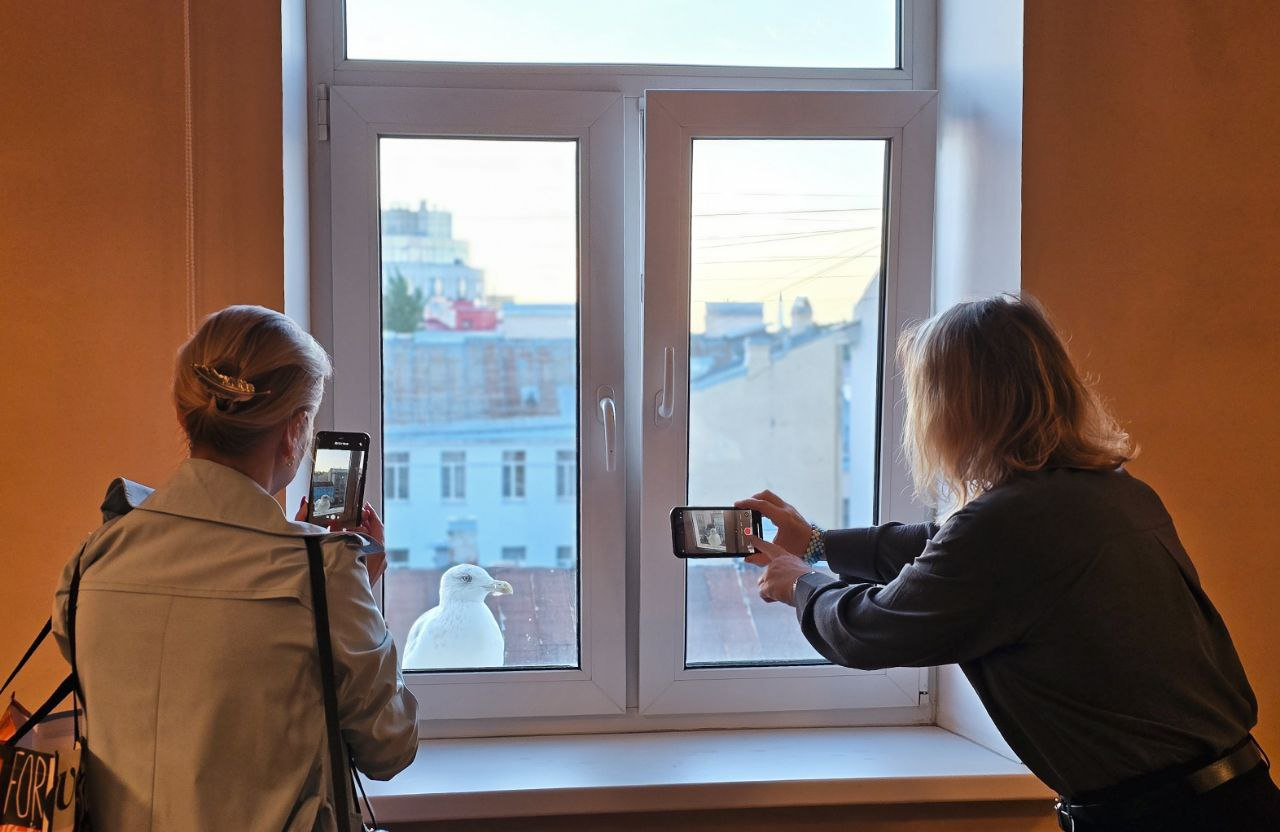 Курс Бацзы онлайн