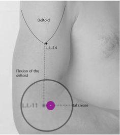Точка LI-11 Цюй-чи – на меридиане Толстой кишки