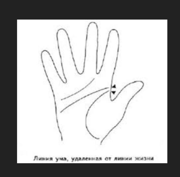 Линия головы и линия жизни